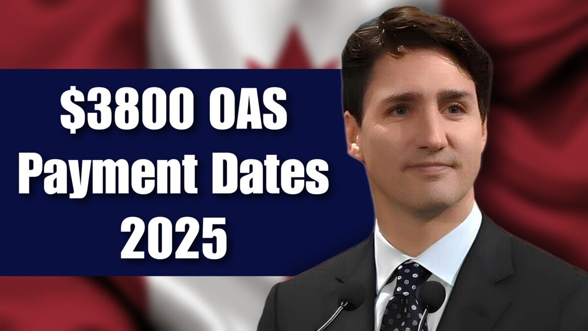 OAS Payments In 2025 How To Claim Your 3800 Annual Benefit ksjgroup.in